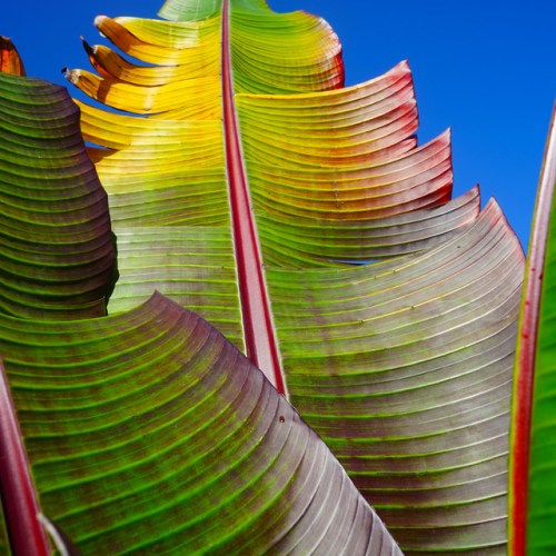 667e81051f51942a186558b268d54cae21084b75