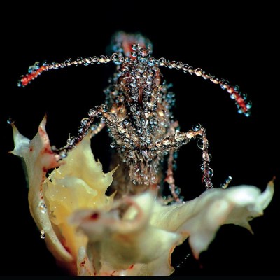 5bf685a07a5f78723f6606ae7f54aa1a347ccafb