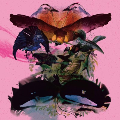 7049d18917630169a6c7e6283ac319dd488709cd