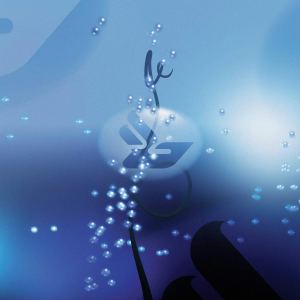 61Vk1cDtk3L._SL1200_