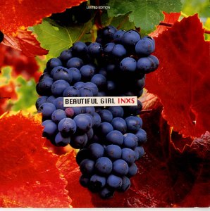 INXS_BEAUTIFUL+GIRL-12556