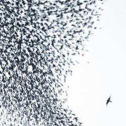 640x640 - 2020-07-11T120118.656