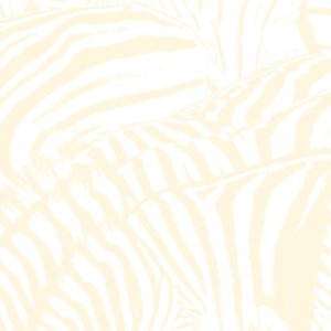 640x640 - 2021-08-01T201312.029