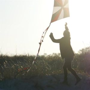 41ExVZdHtuL._UF1000,1000_QL80_