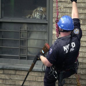 640x640 - 2024-02-10T121133.429